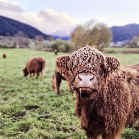 Apartament Fasl Gosau