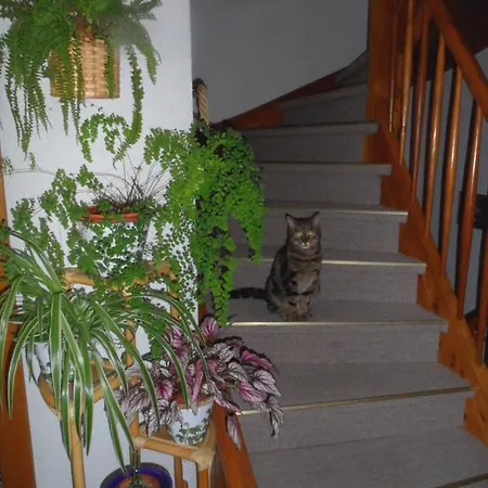 شقة Fasl غوساو