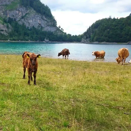 Fasl Apartament Gosau