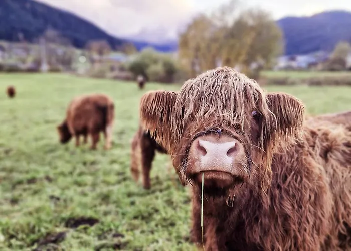 Διαμέρισμα Fasl Gosau