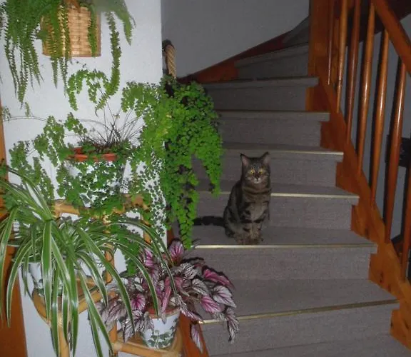 Διαμέρισμα Fasl Gosau