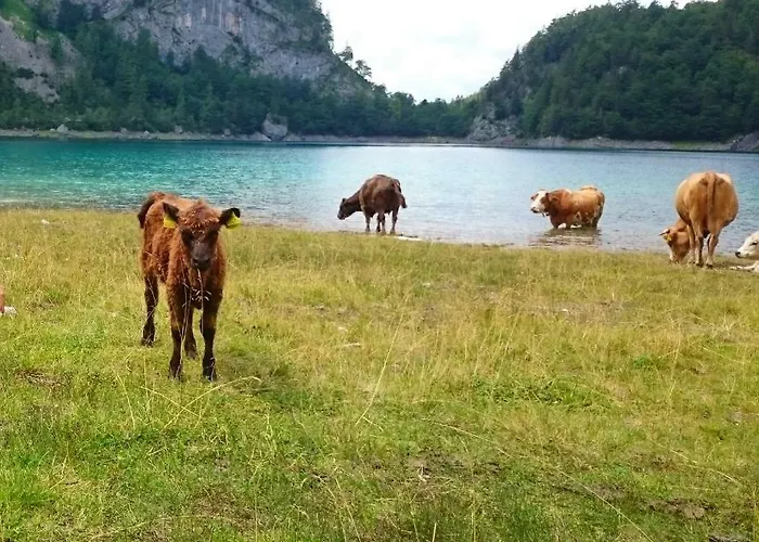 Fasl Διαμέρισμα Gosau